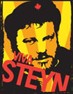 sol viva steyn image master.jpg