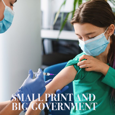 Small Print and Big Government
